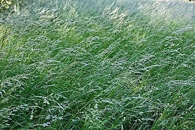 《暗黑破坏神2：重制版》首登主机所遇挑战 与PC操作不同